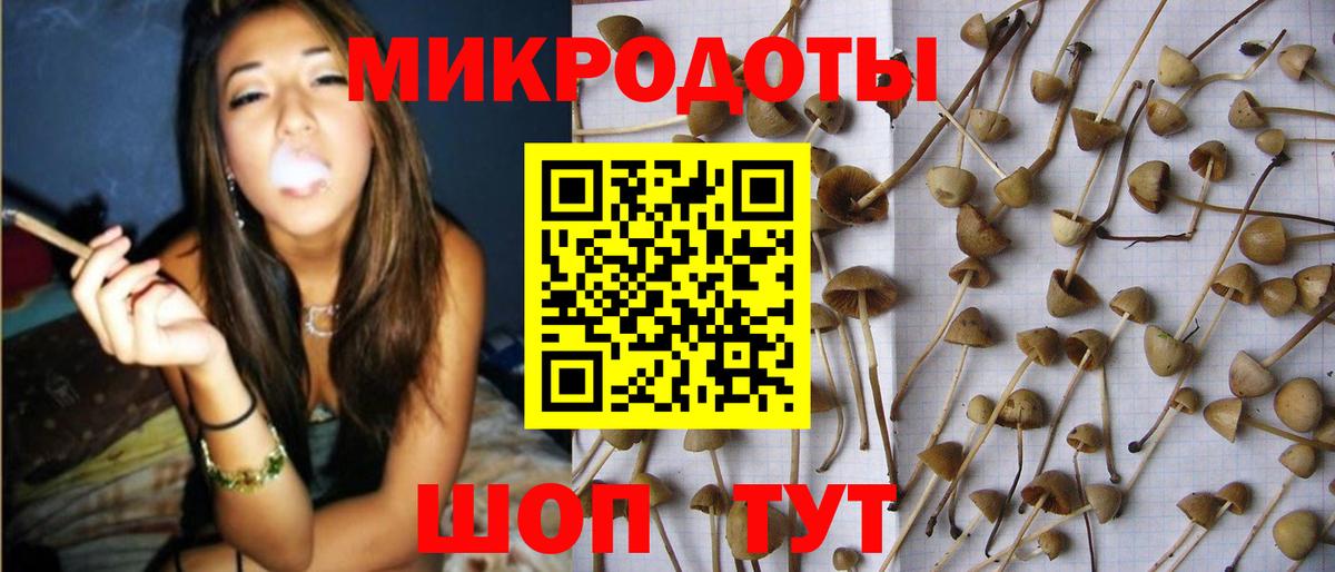 Псилоцибиновые грибы прущие грибы Светлоград