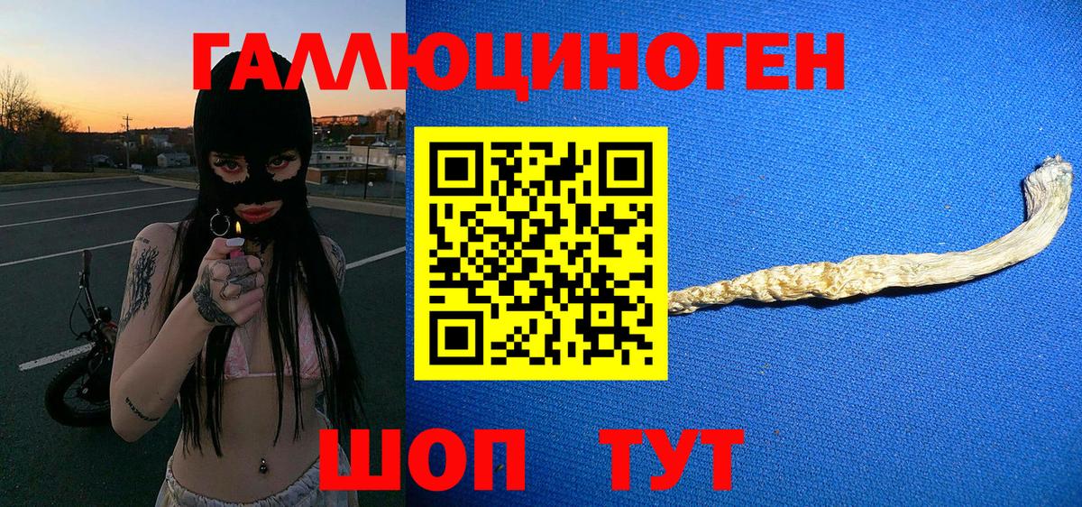 Светлоград  Псилоцибиновые грибы мухоморы  Вход с VPN 